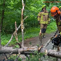 web_bilder_feuerwehr-waldbrunn-3-6-2026 (2).jpg